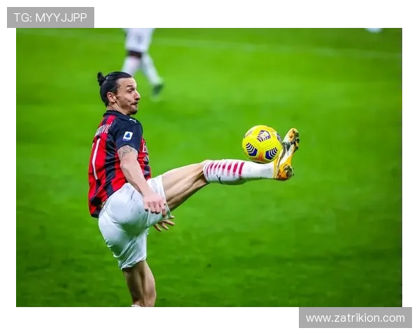 伊布国家队表现